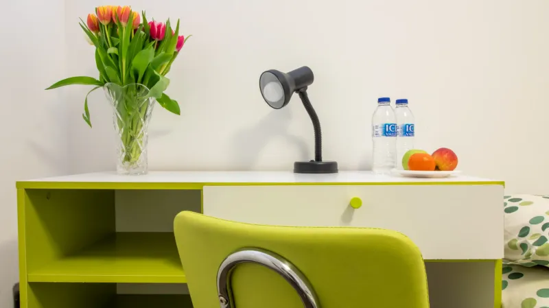 ensuite-essential-detail